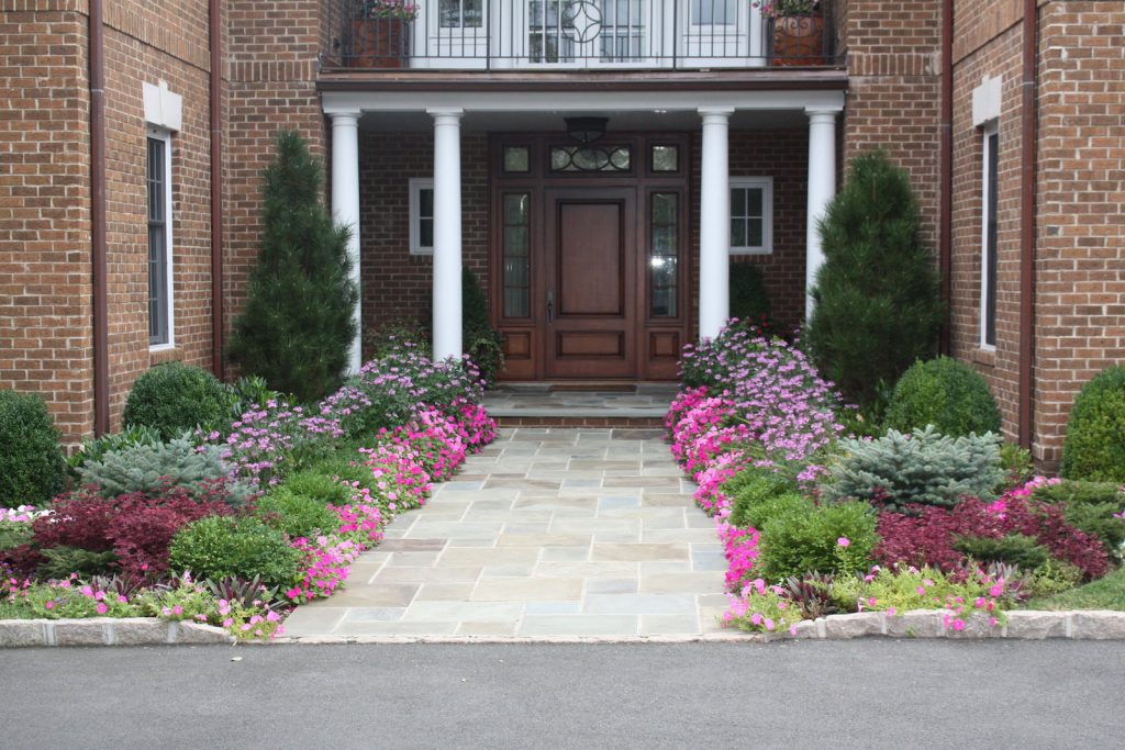 Legarden Design Landscape Design- Boxwoods in Mammaroneck