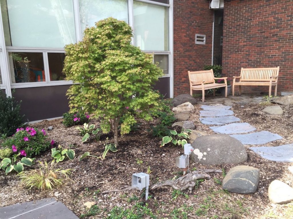 Zen garden ideas