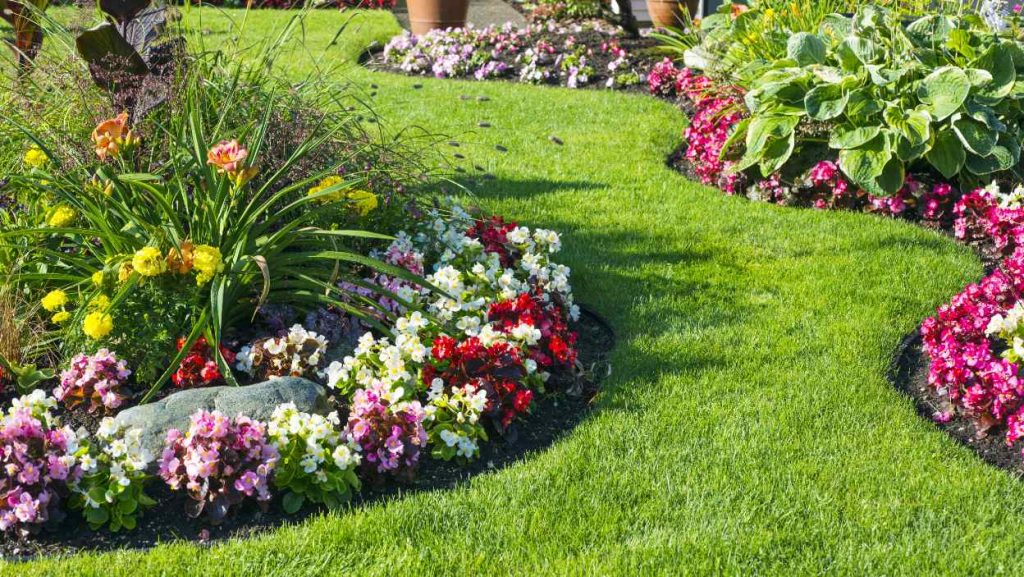 landscape design with flowering begonias