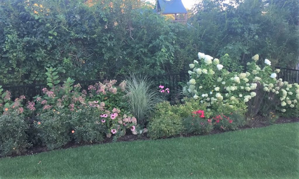 privacy border and frence