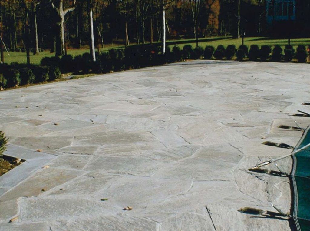 Elite Development Group Photos 14