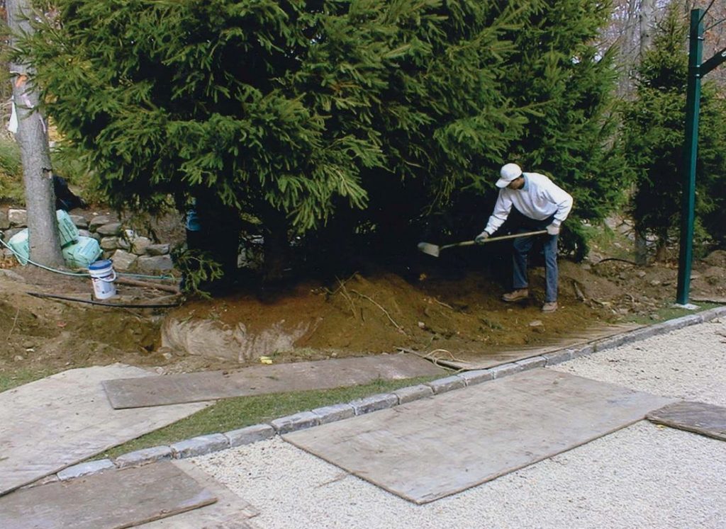 Elite Development Group Photos 18