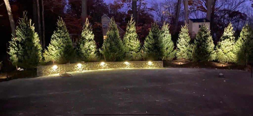 Elite Development Group Photos 23