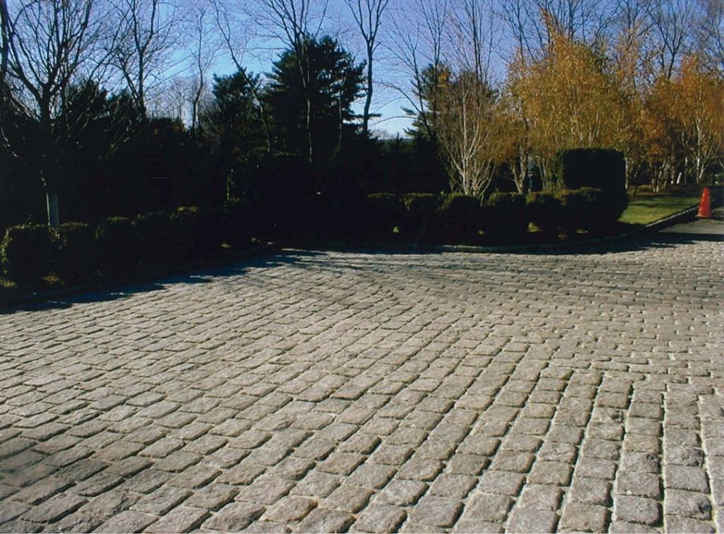 Elite Development Group Photos 4