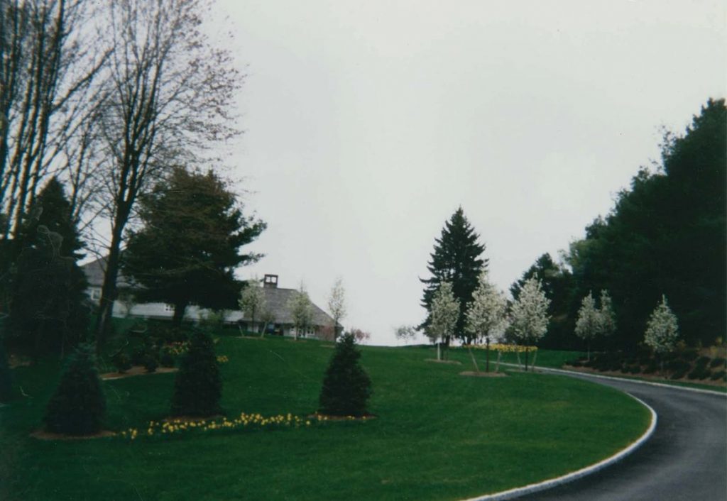 Elite Development Group Photos 9